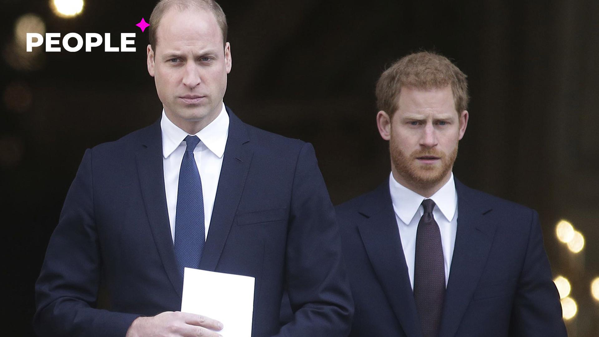 Принцы Уильям и Гарри отказались произносить совместную речь на открытии памятника принцессе Диане