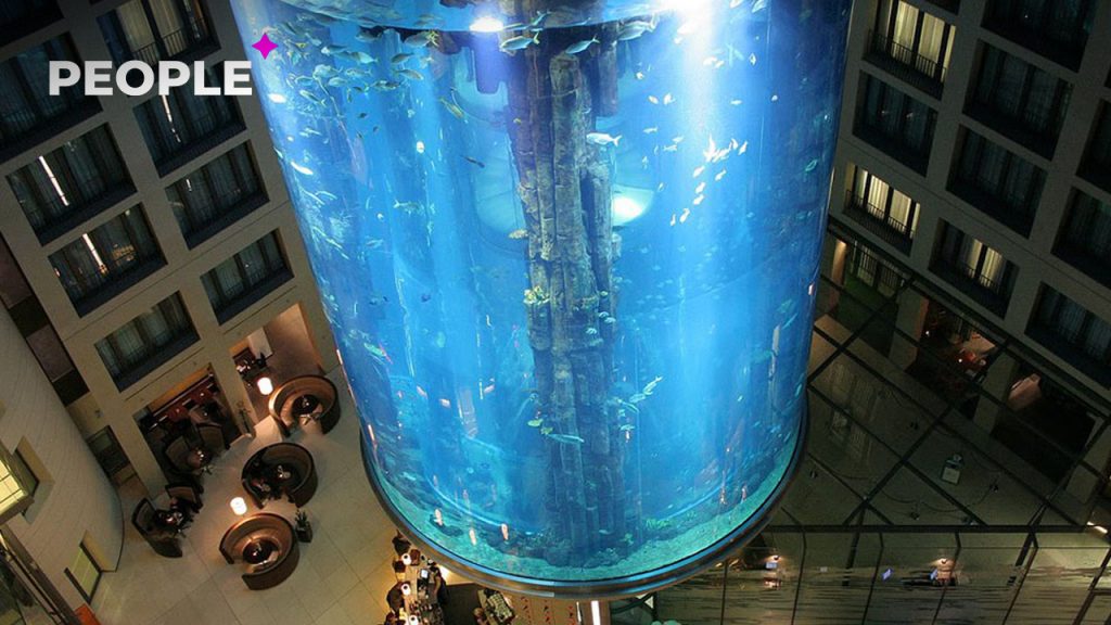 В одном из отелей Берлина лопнул 16-метровый аквариум — видео