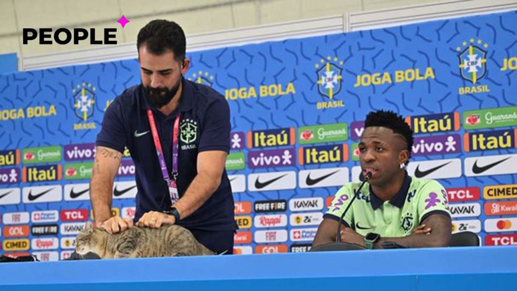 Во время пресс-конференции сборной Бразилии жестоко обошлись с котом — видео