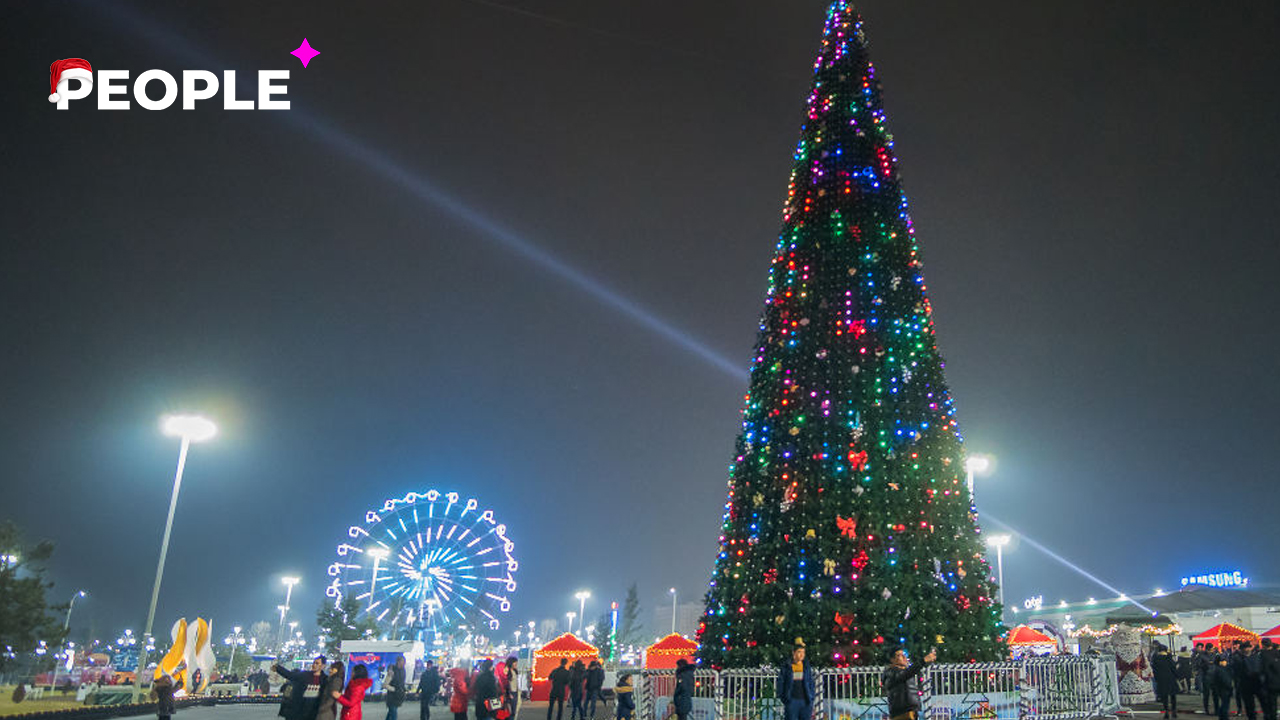 Выяснилось, где в Ташкенте установят новогодние ёлки