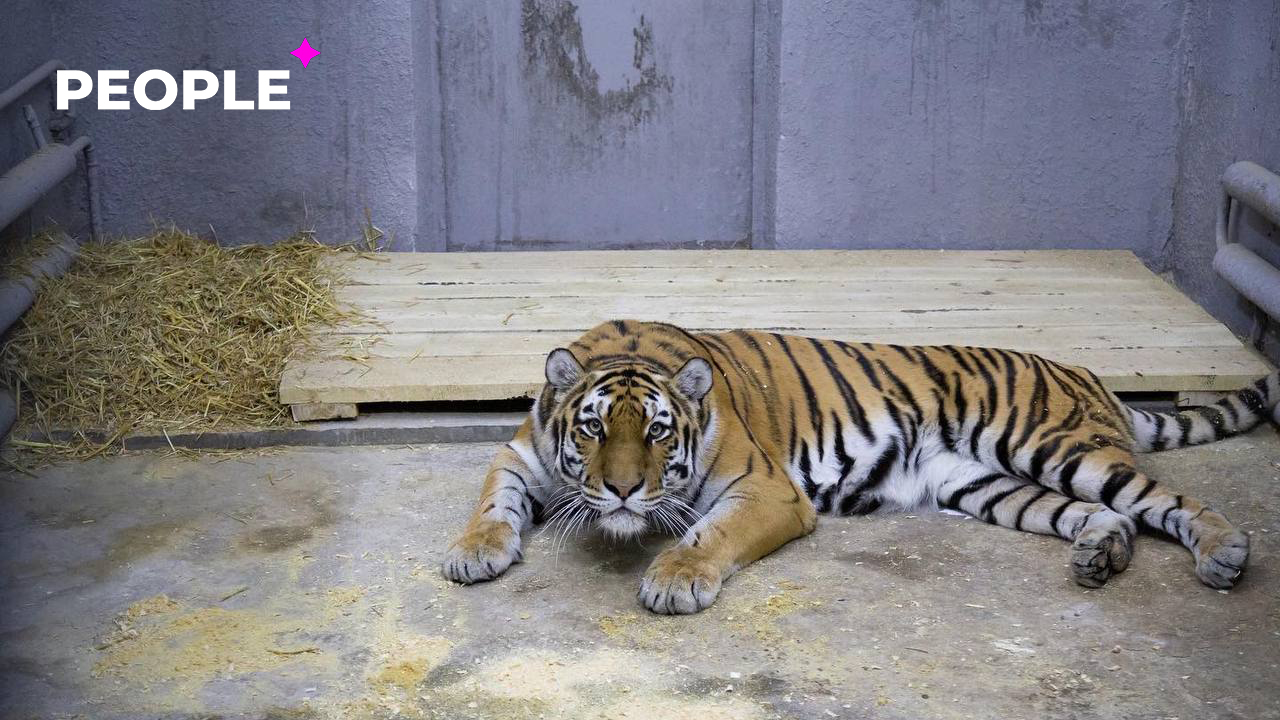 Ташкентский зоопарк объявил об открытии